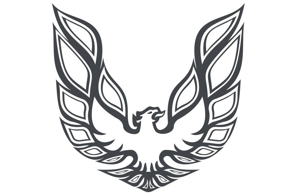 Pontiac TransAm Vinyl Firebird Graphic Wrap Decal - RacerX Customs