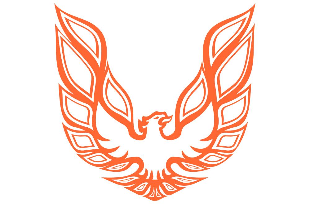 Pontiac TransAm Vinyl Firebird Graphic Wrap Decal - RacerX Customs