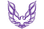 Pontiac TransAm Vinyl Firebird Graphic Wrap Decal - RacerX Customs
