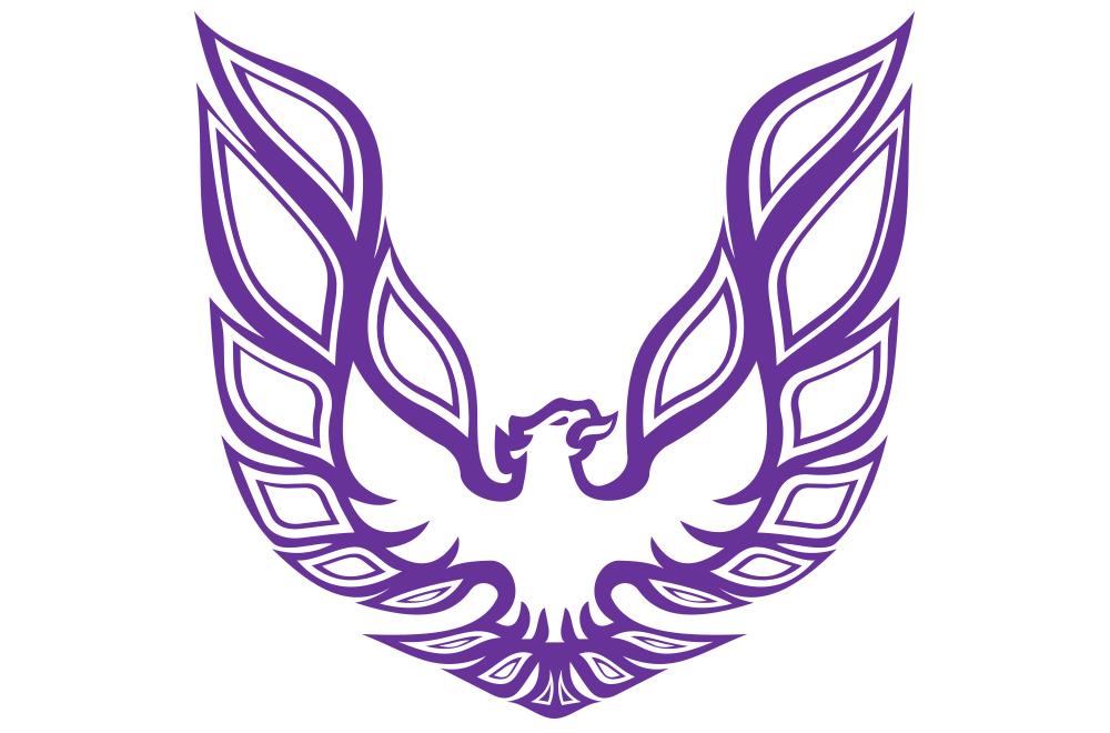 Pontiac TransAm Vinyl Firebird Graphic Wrap Decal - RacerX Customs