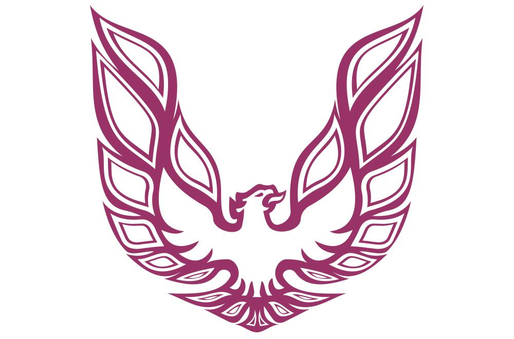 Pontiac TransAm Vinyl Firebird Graphic Wrap Decal - RacerX Customs