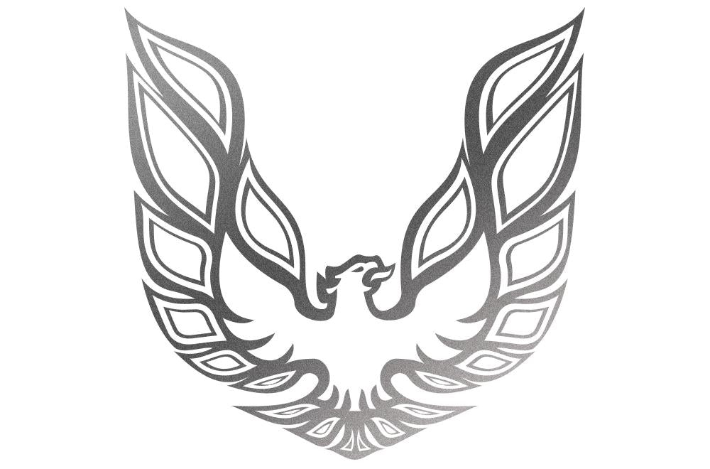 Pontiac TransAm Vinyl Firebird Graphic Wrap Decal - RacerX Customs