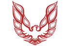 Pontiac TransAm Vinyl Firebird Graphic Wrap Decal - RacerX Customs