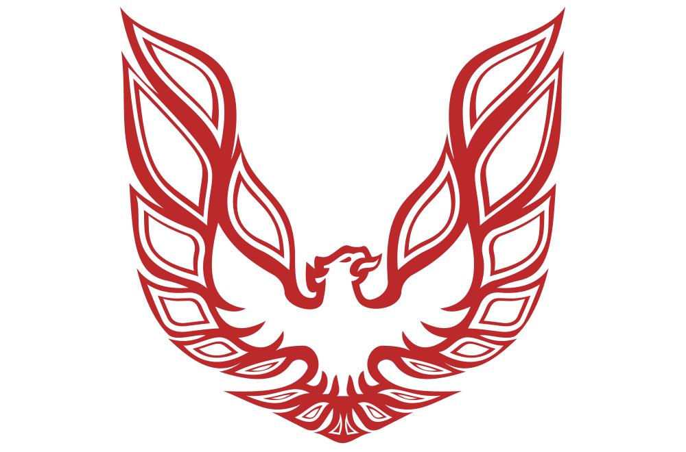 Pontiac TransAm Vinyl Firebird Graphic Wrap Decal - RacerX Customs