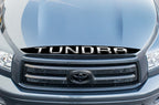 Toyota Tundra Accent Graphics (2007-2013) CHROME - RacerX Customs