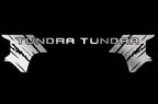 Toyota Tundra Wrap Kit - Quarter Panel Vinyl - TUNDRA (2014-2018) - RacerX Customs