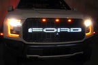 Steel Grille for Ford Raptor SVT ('17-'20) - FORD White LED X-Lite - RacerX Customs | Auto Graphics, Truck Grilles and Accessories